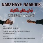 دانلود آهنگ بهنام ردایی به نام نبض های ناکوک دانلود آهنگ بهنام ردایی به نام نبض های ناکوک