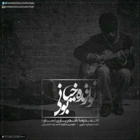 دانلود آهنگ جدید احمد سلو به نام نوازنده خیابانی