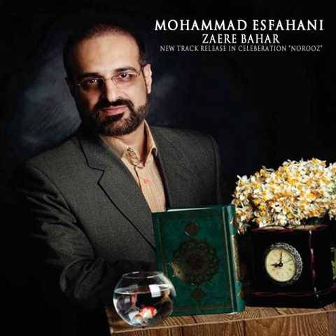 دانلود آهنگ جدید محمد اصفهانی به نام زائر بهار