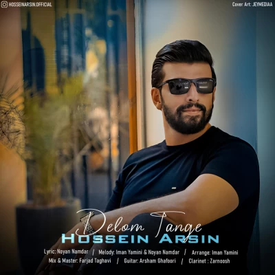دانلود آهنگ جدید حسین آرسین به نام دلوم تنگه