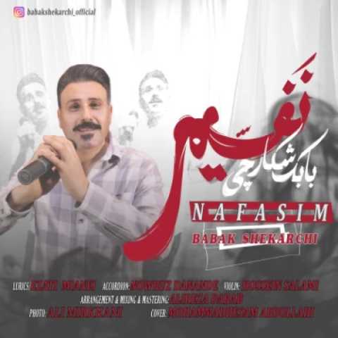 دانلود آهنگ جدید بابک شکارچی به نام نفسیم