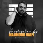 دانلود آهنگ محمود نجفی به نام خوشگلم