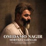 دانلود آهنگ مرتضی سرمدی به نام امیدمو نگیر (ورژن جدید)