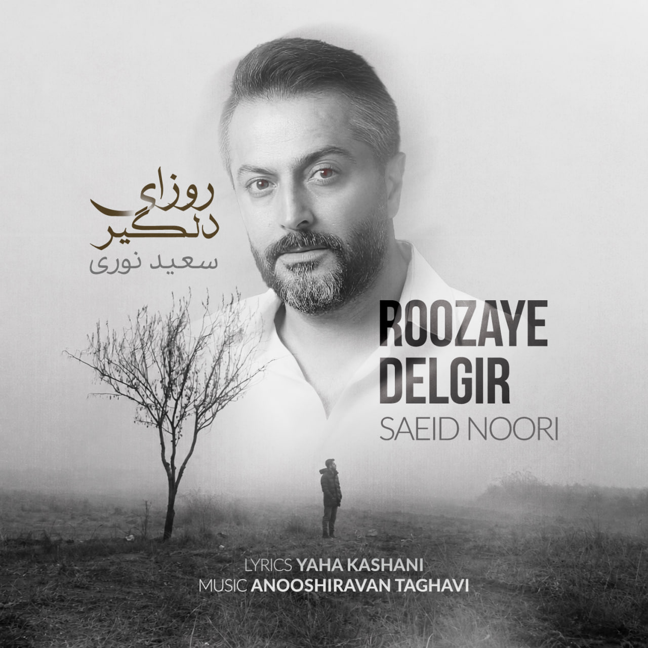 دانلود آهنگ جدید سعید نوری به نام روزای دلگیر